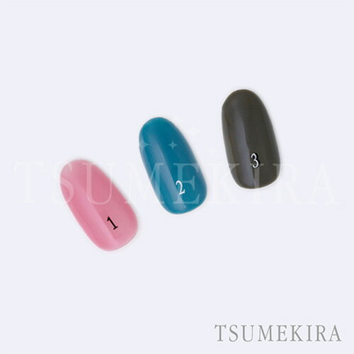 アート ネイルシール ツメキラ TSUMEKIRA カラーチャートナンバーシール 白 101-200 ゆうパケット ネイル関係雑貨 その他 収納・ディスプレイ用品【当店商品3980円（沖縄離島は税込9800円）以上で送料無料】楽天39ショップ