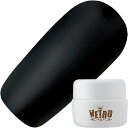 【8/15 当店ポイント10倍】ジェルネイル カラージェル ベトロ VETRO カラージェル4ml VL289 ピグメントブラック ゆうパケット マット【当店商品3980円(沖縄離島は税込9800円)以上で送料無料】楽天39ショップ