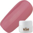 ジェルネイル カラージェル ベトロ VETRO Star Quality カラージェル4ml VL438 Libra ゆうパケット マット【当店商品3980円(...