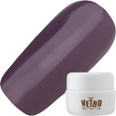 【5/5 当店ポイント5倍】ジェルネイル カラージェル ベトロ VETRO Star Quality カラージェル4ml VL441 Capricorn ゆうパ...