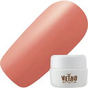 ジェルネイル カラージェル ベトロ VETRO VETRO Travel カラージェル4ml VL479 ヒッチハイク ゆうパケット マット【当店商品3980円...