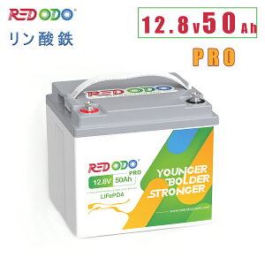 Redodo 12V 50Ah PRO Ŵ।Хåƥ꡼ 640Wh 10ǯ̿  12v LiFePO4 BMSݸ ť4000ʾ RV ԥ󥰥  ܡ ȥɥư ɺк 顼 PSEŬ