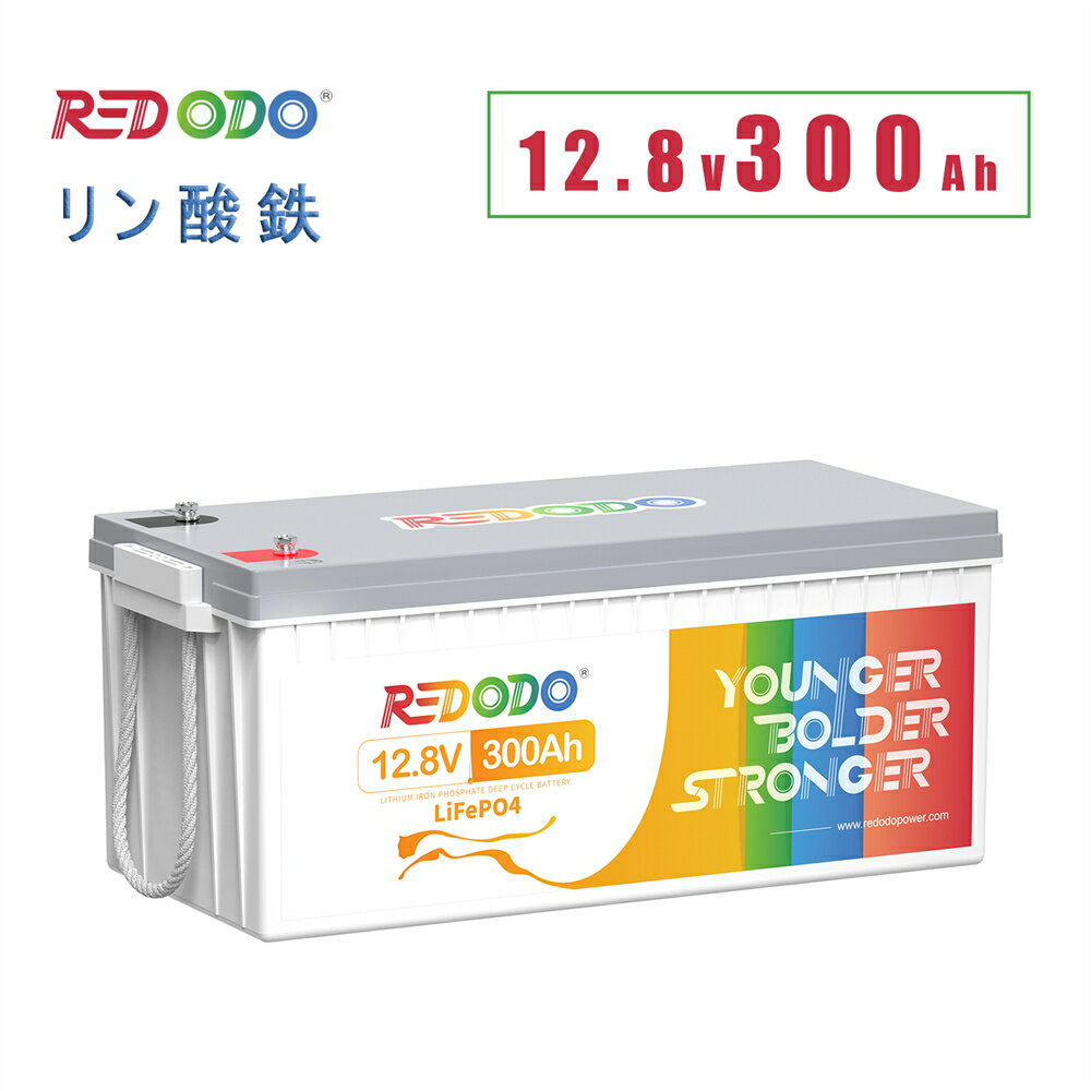 5OFFꥯݥ!Redodo 12V 300Ah Ŵ।Хåƥ꡼ 3840Wh LiFePO4 200ABMS ή2560W ť4000ʾ 10ǯ̿ ֥Хåƥ꡼ RV ԥ󥰥 顼ѥͥ եå Ÿ ʥ PSEŬ