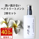 5/1迄★ 【40%OFFクーポン有!】 洗い流さないトリートメント 100ml 2本 粋な艶髪 アウトバストリートメント ヘアケア トリートメント ヘアトリートメント ノンシリコン ヘアミルク ヘアクリーム 流さない 洗い流さない くせ毛 うねり まとまる 椿油 パサつき メンズ