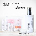 旅行 出張 お試し 洗い流さないトリートメント 100ml スキンケアセット 洗顔クリーム 10g 7点 トラベルセット スキンケア ヘアケア 化粧水 20ml 乳液 美容液 クリーム クレンジング 洗顔 ヘアミルク コスメ 出産 入院 お泊り 小分け メール便