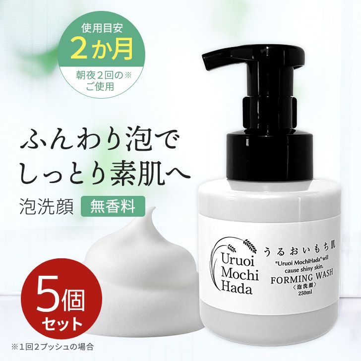 【 泡洗顔 250ml うるおいもち肌 5個セット】 大容量 無添加 2か月 乾燥肌 敏感肌 しっとり 濃密泡 低刺激 アミノ酸 無香料 洗顔フォーム 洗顔石鹸 洗顔せっけん W洗顔 朝用 夜用 洗顔料 保湿 毛穴 スキンケア エイジングケア 基礎化粧品 肌荒れ防止 30代 40代 50代 60代