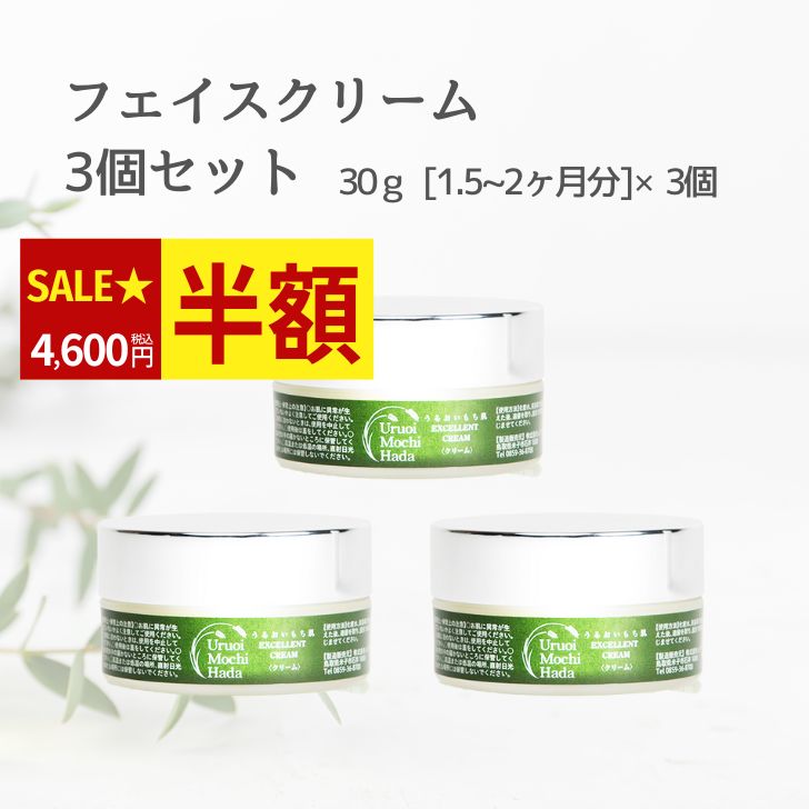 15日迄＼半額！9,200円→4,600円／ 美容クリーム 30g 3個 うるおいもち肌 クリーム シアバター 顔 保湿 美容クリーム クリーム美容 フェイスクリーム 保湿クリーム 顔 ナイトクリーム スキンケア 敏感肌 乾燥肌 エイジング 発酵 無添加 化粧品 基礎化粧品 40代 50代 60代