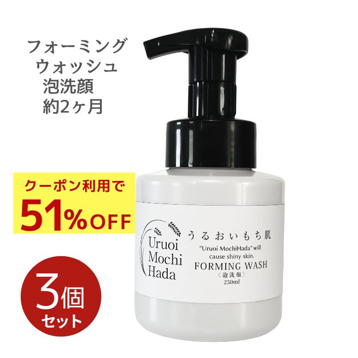 福袋【 泡洗顔 250ml うるおいもち肌 3個セット】 大容量 無添加 2か月 乾燥肌 敏感肌 し ...