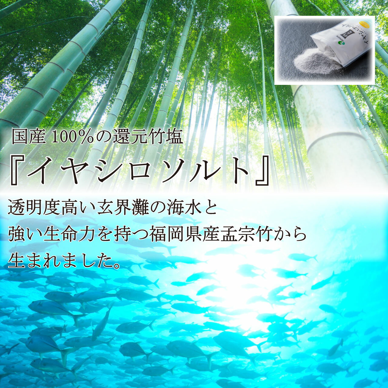 イヤシロソルト(スタンドパック)20gポケットイヤシロソルト20gセット