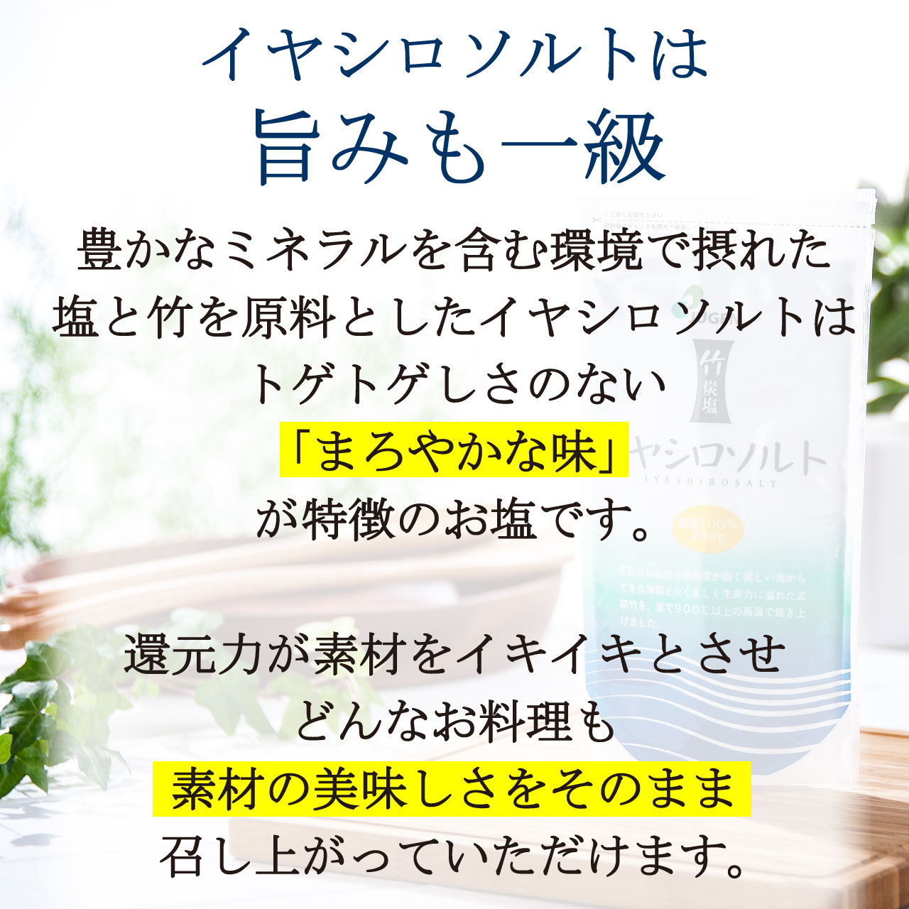 イヤシロソルト(スタンドパック)20gポケットイヤシロソルト20gセット