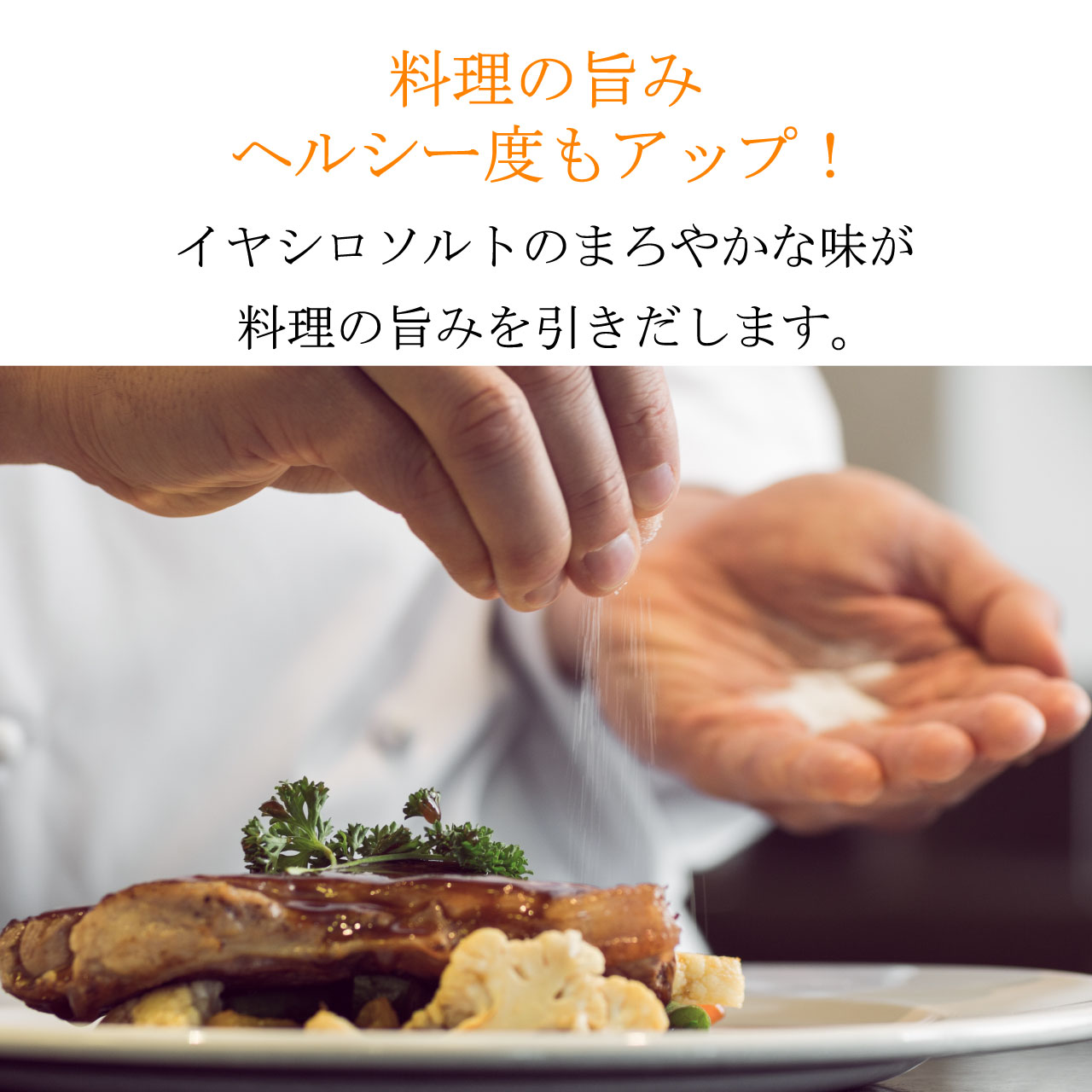イヤシロソルト(スタンドパック)20gポケットイヤシロソルト20gセット