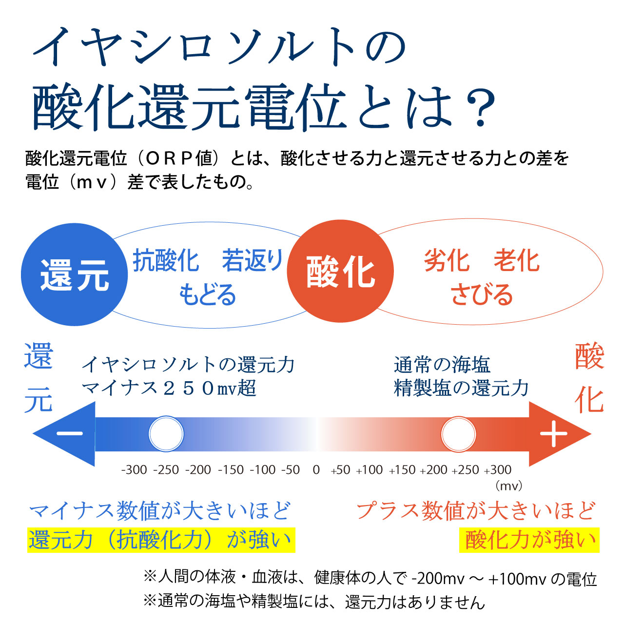 イヤシロソルト(スタンドパック)20gポケットイヤシロソルト20gセット