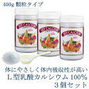 スカイカルシウム 【顆粒】 400g 大 3個セット スカイフード L型発酵乳酸カルシウム プレゼント 送料無料 ,