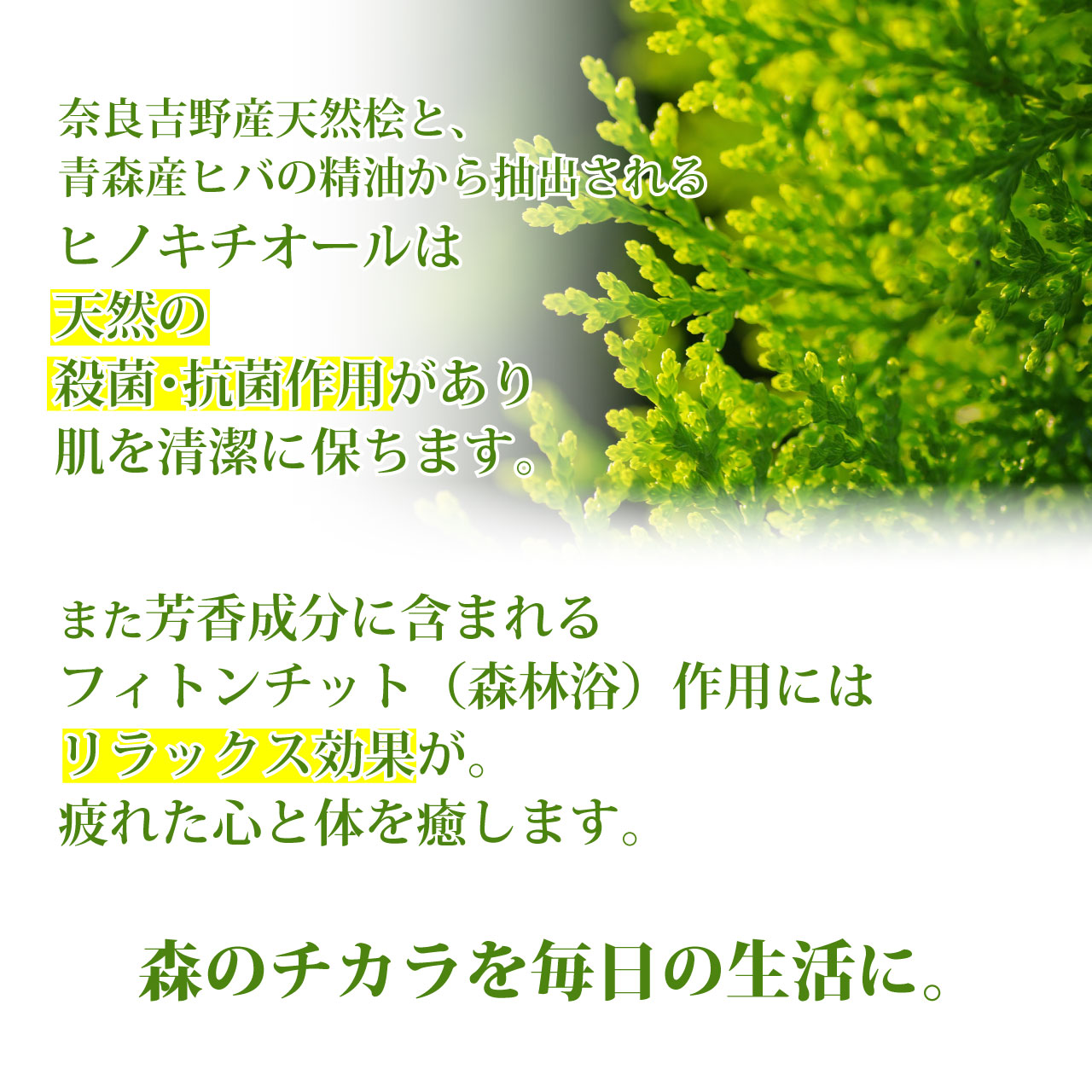 ＼アフターセールクーポン★9/25(金)23:59まで5％OFF！／桧水 ひのきすい 500ml 3本セット 送料無料 桧 風呂 グリーンノート 入浴剤 入浴用 天然 抗菌 消臭 芳香 除菌 森林浴 リラックス ヒノキチオール フィトンチッド 青森 ヒバ ひのき ヒノキ 精油 , reductio-10000348 リダクティオ 楽天市場店 サンプル画像3
