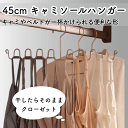 \アフターセールクーポン★7/12(土)23:59まで5%OFF!/キャミソール用ハンガー シルバー 干してそのままクローゼット ベルト用ハンガー 最大8枚掛け...