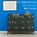 \アフターセールクーポン★7/12(土)23:59まで5%OFF!/使うと雰囲気の良くなるスチールチェスト ienowa 横型12杯引出チェスト MSG BK ...