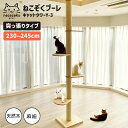 \マラソン★5/16(金)1:59まで10%オフクーポン・5倍Pアップ!/ねこぞく ブーレ 突っ張り棒タイプ キャットタワー Y-3 230〜245cm 耐久性...