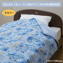 洗えるオールシーズン対応ダウン50%羽毛肌掛布団 140×190cm 肌掛布団 シングル 丸洗いOK 洗濯機OK 洗える 8箇所ループ付 布団 掛ふとん かけ布団 送料無料