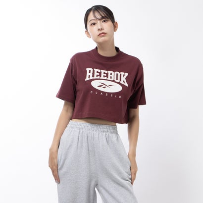 ビッグロゴ クロップド Tシャツ / CL AE BIG LOGO CROP TEE （クラシックマルーン）