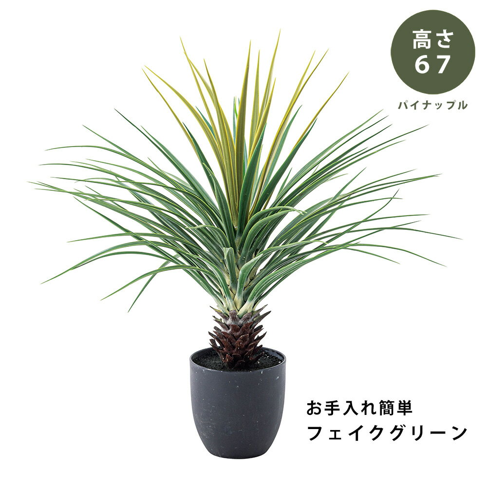 樂天商城 - 【完成品】フェイク グリーン 観葉植物 パイナップル(67cm) リアル グリーン green お手入れ簡単 鉢付き プランター付き おしゃれ かわいい ガーデン 室内 飾り