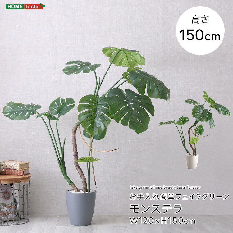 樂天商城 - フェイク グリーン 観葉植物 モンステラ Mサイズ(150cm) リアル グリーン green お手入れ簡単 鉢付き プランター付き おしゃれ かわいい