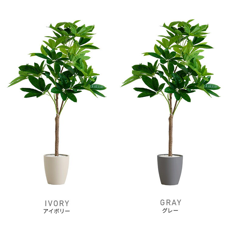 �ե����� ���꡼�� ���տ�ʪ �ѥ��� L������(180cm) �ꥢ�� ���꡼�� green ���������ñ ȭ�դ� �ץ�󥿡��դ� ������� ���襤��