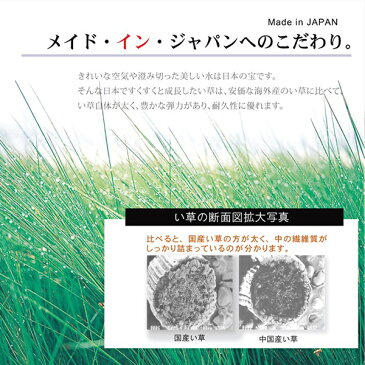 い草ラグ い草カーペット 国産 高級 掛川織 おしゃれ カラフル モダン シンプル デザイン 夏快適 涼しい 抗菌 除湿 長方形 3畳 三畳 191×250cm 裏地付き