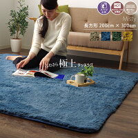 ラグ カーペット ふかふか シャギー シャギーラグ カジュアル 滑り止め おしゃれ モダン シンプル 秋用 冬用 床暖房 ホットカーペット 電気カーペット 4.5畳 6畳 長方形 200cm×300cm