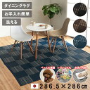 【国産】水洗い 洗える い草 風 ラグ カーペット 4.5畳 4畳半 286.5×286cm 正方形 ペット マット ポリプロピレン PP ダイニングラグ デザイン ラグ 傷防止 汚れ防止 掃除楽 ダニ アトピー アレルギー 防止 おすすめ カバー おしゃれ 子ども レジャーシート アウトドア