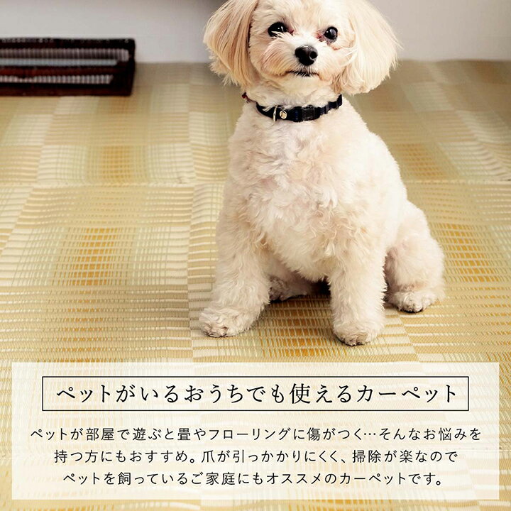 水洗いできる ペット カーペット 犬用 猫用 イヌ ネコ シート マット 丸洗い 敷き詰め ラグ 本間 6畳 286.5cm×382cm 長方形 万能 PP 傷防止 汚れ防止 掃除楽 丸洗い 水洗い可能 ダニ アトピー アレルギー 防止 おしゃれ 国産 日本製 子ども レジャーシート