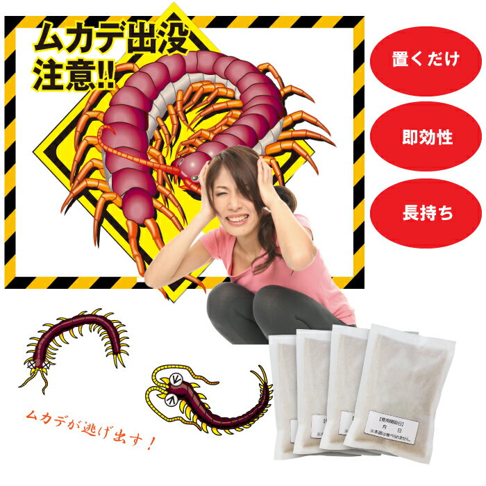 �५�Ƕ���Ѵ���� ŷ����ʬ����� �५�� �Х��Х� 50g��12���� ŷ���Ǻ�100% ������ ���ô��� �५���༣ ���� ����� ��̳�� ���� ��� �����Ѥफ���к� ����̵��