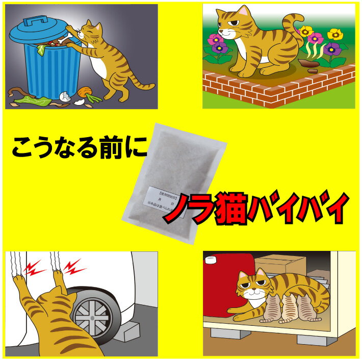 ǭ ���� ����åȤ��ɤ��� �Υ�ǭ�Х��Х��� 12�ޥ��å� ǭ�η�����˥�����ȯ����ͥ��������֤������ͥ�����դ��ޤ���