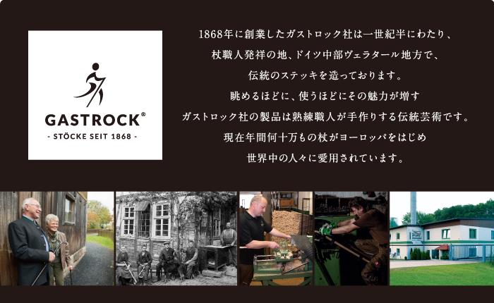 ドイツ製 1本杖 ガストロック Gastrock ELLEGANCE GA-53 スカルヘッドステッキ ※代引き不可 3