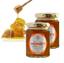 Bee Treasure プロポリス入りハチミツ HONEY 2個セット 純粋アルゼンチン産はちみつ パンケーキ 健康 蜂の宝本舗