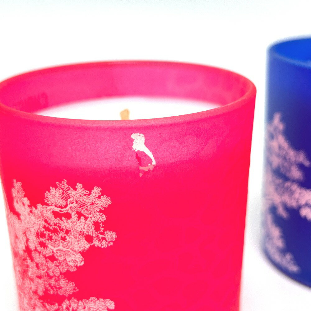 Dior �ǥ������� Dioriviera (�ǥ�����ӥ���)2022 ���쥯����� �ȥ��ɥ����奤 �����ɥ� ���å� 3�����å� �����ޥ����ɥ� ���� ƫ�� ��˥��å��� �ޥ�����顼 ̤���� ����š�