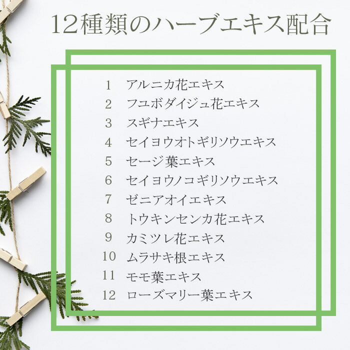 �ڥ���å����ԥ󥯡��ץ�ߥ����1�ܡۥ���å��� ���륬�󥪥��� �ȥ꡼�ȥ��� 120ml ����ή���ʤ� �إ��ȥ꡼�ȥ��� 2����1�ܤ��Ĥ�2�ܥ��å� �إ������� ��ȱ ���餵�� ��� ���äȤ� �͵�