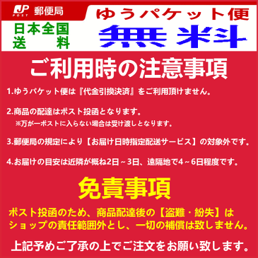 売り尽くし 返品・交換不可 hiromichi(ヒロミチ ナカノ)のキュロットパンツ レディース 水着 ショートパンツ 水陸両用 M L