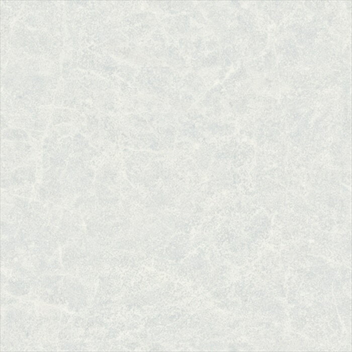 åե 󥳡 ݥ塼 ֡E1080 Ρॹȡ StonePlain ȡץ졼 졼 1.8mm...