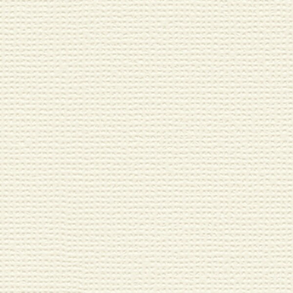 【スーパーSALE限定クーポン配布中】壁紙 クロス のりなし トキワ TWP9588 PINEBULL パインブル 2023-2..