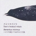 壁紙 クロス のりなし サンゲツ RE55946 ReSERVE2024-2027 国立科学博物館 ホワイト アニマル 塩化ビニル樹脂系壁紙 準不燃 防かび