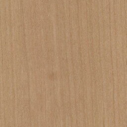 壁紙 クロス のりなし サンゲツ XSELECT(エクセレクト)2021-2024：SHITSURAHI 天然木壁紙 木 115ページ 品番：SGC169-S Sサイズ：910mm×2,430mm 茶系 木目 不燃