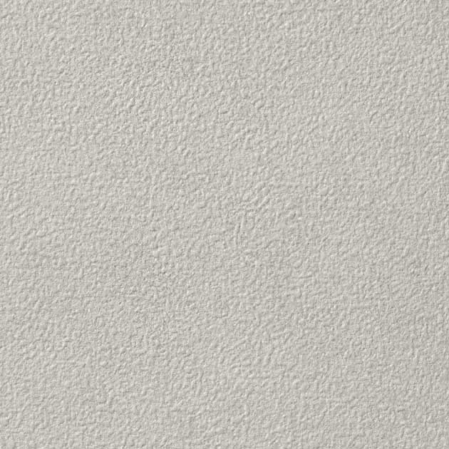 【最大1000円クーポン】壁紙 クロス のりなし サンゲツ TH32123 FAITH フェイス 2022-2025 process#100..