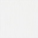 【最大1000円OFFクーポン】シンコール オーダーカーテン レース AZ-8533 abita ZIONE 2025-2028 PLAIN SHEER プレー...