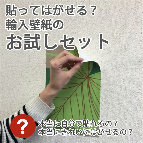 【4/24 20時～P5倍＆最大2000円OFFクーポン】貼ってはがせる？輸入壁紙のお試しセット