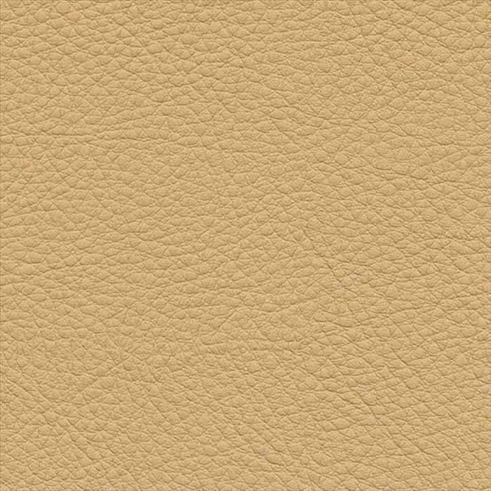 【最大2000円OFFクーポン有!】椅子生地 10cm単位切売 サンゲツ UP5050 カラーレザー ベージュ 有効巾122cm UP2024-2028 自動車用難燃 防炎 イージークリーン 耐アルコール 耐次亜塩素酸 耐菌