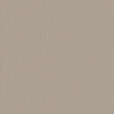【最大2000円OFFクーポン有!】椅子生地 10cm単位切売 サンゲツ UP5213 NP アビデ グレー 有効巾137cm UP2024-2028 自動車用...
