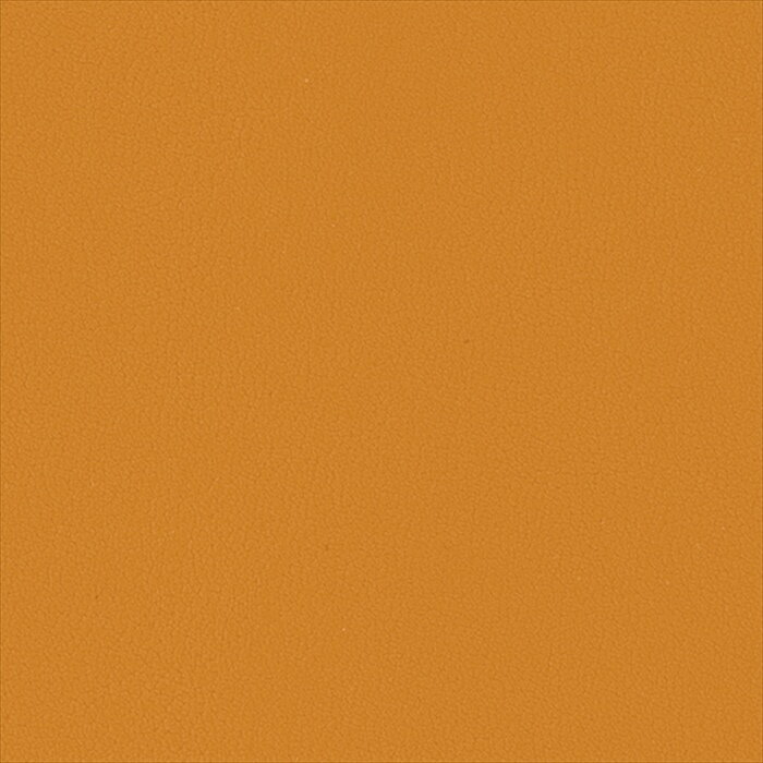 メーカーサンゲツカタログ名UP2024-2028生産国日本有効巾137cmリピートタテ0cm ヨコ0cm組成表皮 PVC／裏地 メリヤス機能 自動車用難燃 イージークリーン 耐アルコール 耐次亜塩素酸 耐菌特記事項なし発送目安 2営業日以内...