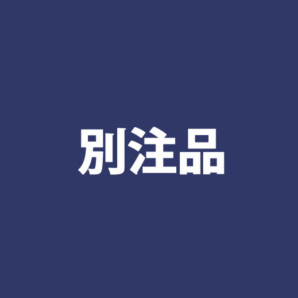 【4/24 20時～P5倍&最大2000円OFF...の商品画像