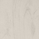 カッティングシート 10cm単位切売 サンゲツ リアテック RW-5419 バーチ 杢 ベージュ REATEC リアテック 2024-2026 WOOD REA...