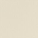 カッティングシート 10cm単位切売 サンゲツ リアテック TA-4717 無地 ベージュ REATEC リアテック 2024-2026 COLOR Solid Color